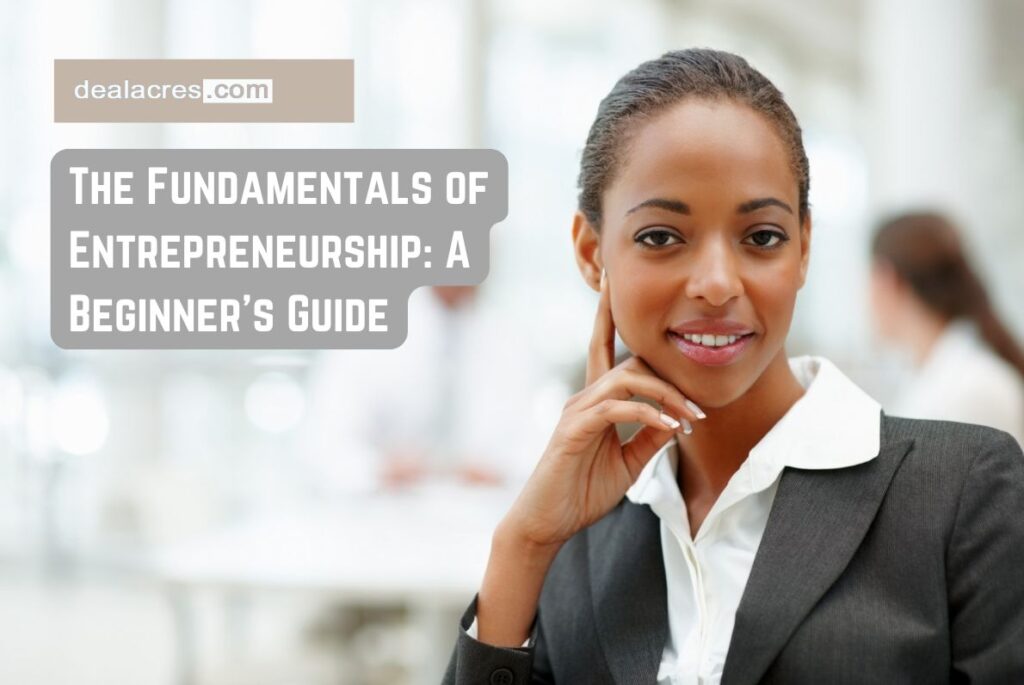 The-Fundamentals-of-Entrepreneurship_-A-Beginners-Guide-Deal-Acres.