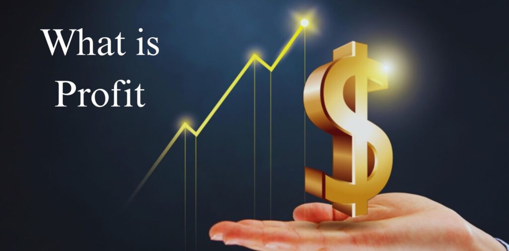 Understanding-the-Difference-Between-Profit-and-Cash-Flow_-A-Guide-for-Indian-Businesses. -What-is-Profit.