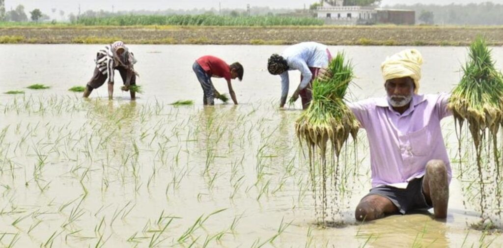 Impact on Agriculture and Economy_ A Looming Crisis - Nishant Verma