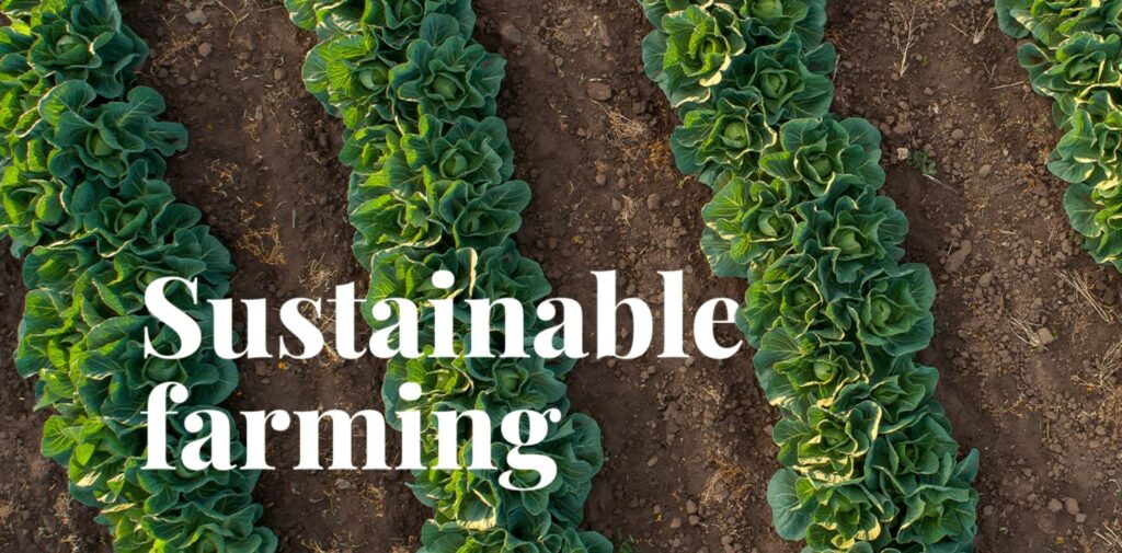 Sustainable-Farming-in-the-Aftermath-of-the-Green-Revolution