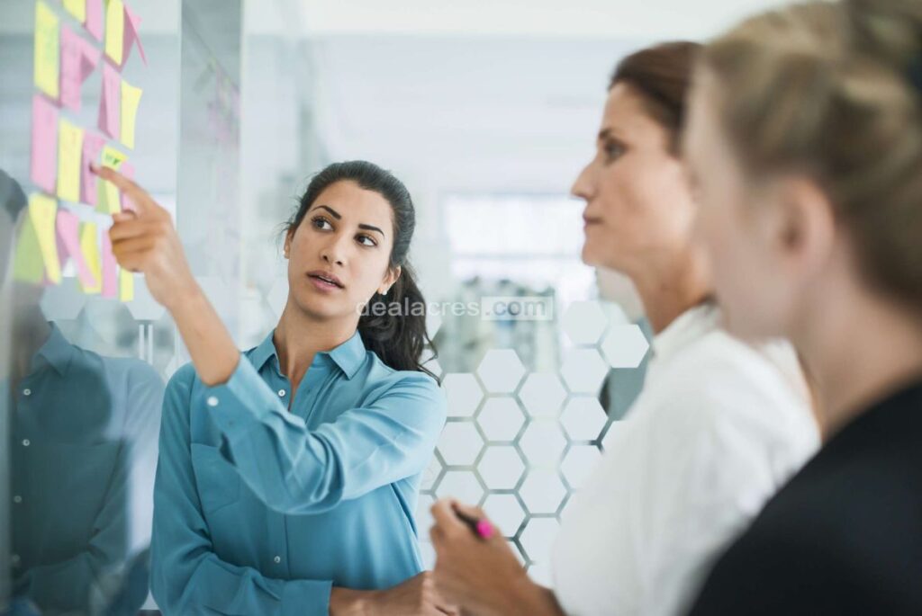 Applying-Psychology-to-Entrepreneurial-Decision-Making_-Deal-Acres.