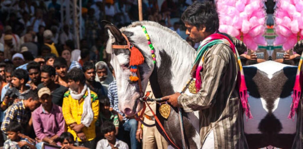 Day-of-Horses-A-Celebration-of-Strength-Beauty-and-Tradition-The-Role-of-Horses-in-Indian-Culture