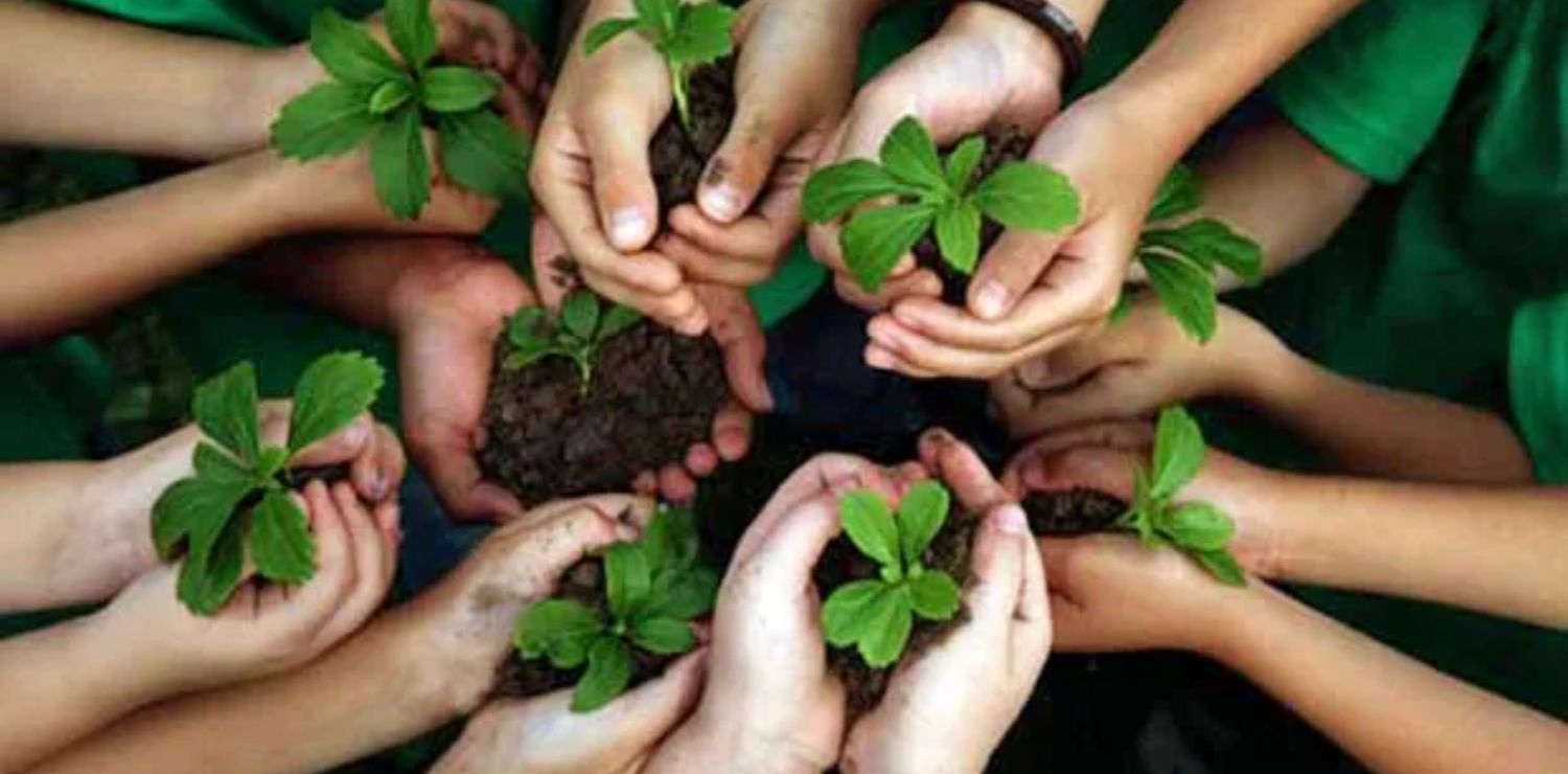 Environmental Education: Teaching Kids Sustainability