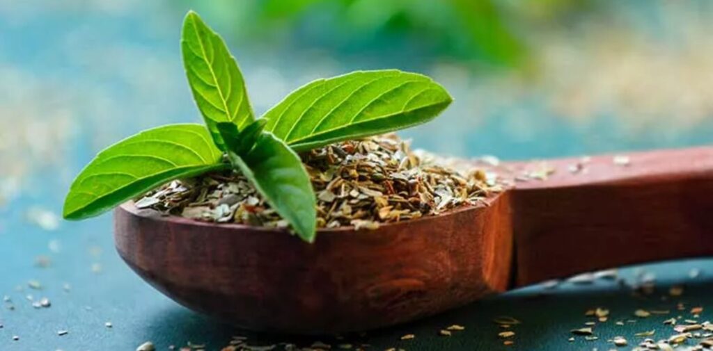 Health-Benefits-of-Tulsi