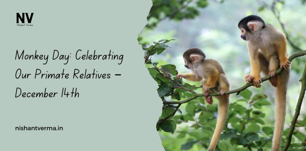 Monkey-Day-Celebrating-Our-Primate-Relatives-–-December-14th