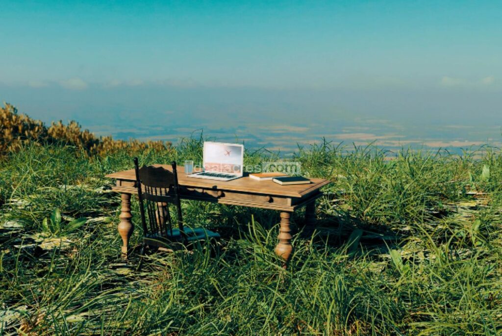 Remote-Work-Revolution_-Redefining-the-Workplace-Deal-Acres.