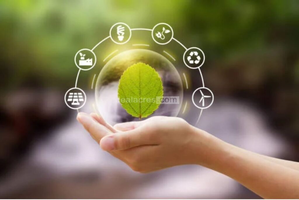Sustainable-Business-Practices_-Deal-Acres.