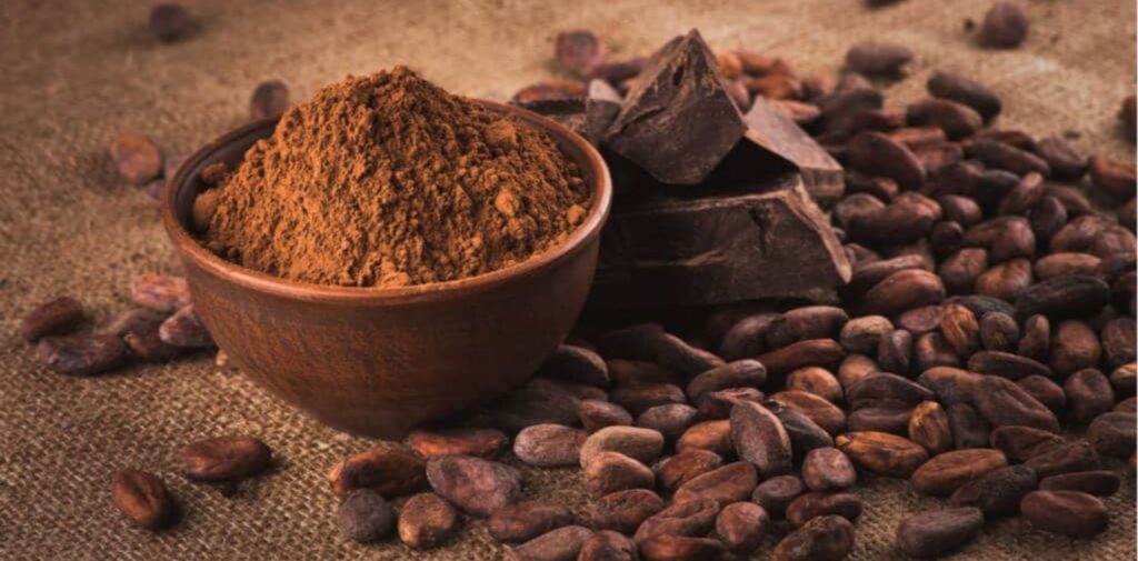 The-Health-Benefits-of-Cocoa