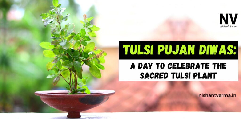 Tulsi-Pujan-Diwas-A-Day-to-Celebrate-the-Sacred-Tulsi-Plant