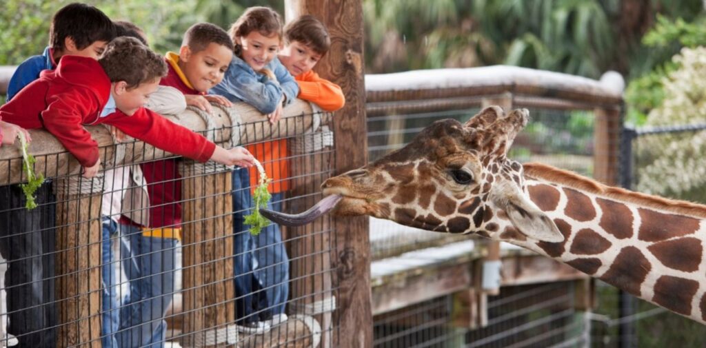 Visit-the-Zoo-Day-A-Fun-and-Educational-Experience-for-All-Ages-Why-Visit-the-Zoo