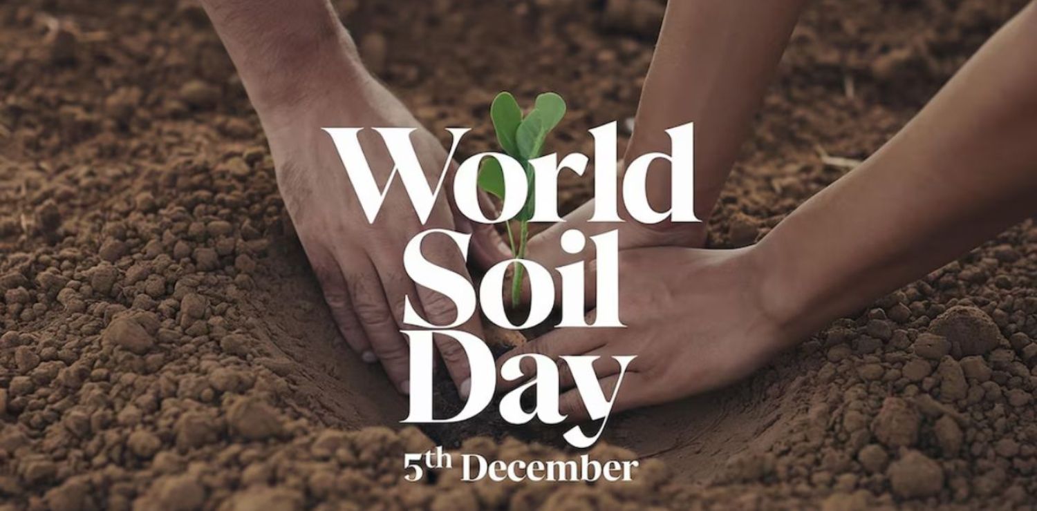 World Soil Day: Celebrating Healthy Soil for the Future