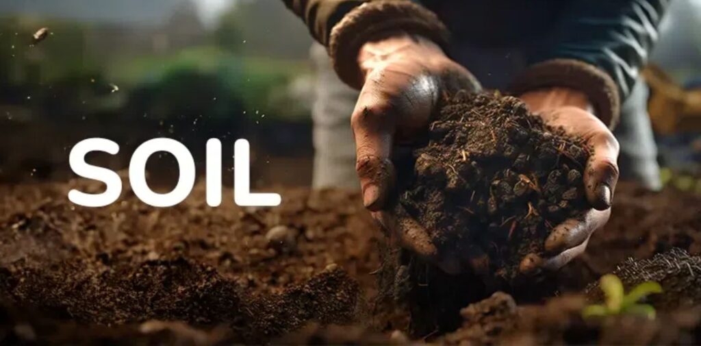 World-Soil-Day-A-Celebration-of-Healthy-Soil-What-is-Soil