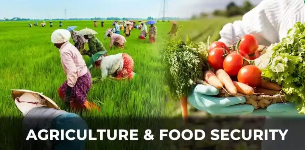 How-Agriculture-Can-Help-Address-Food-Security