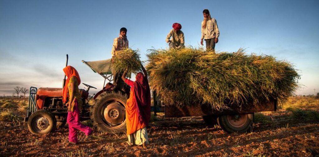 Promoting-Farmer-Support-Systems.