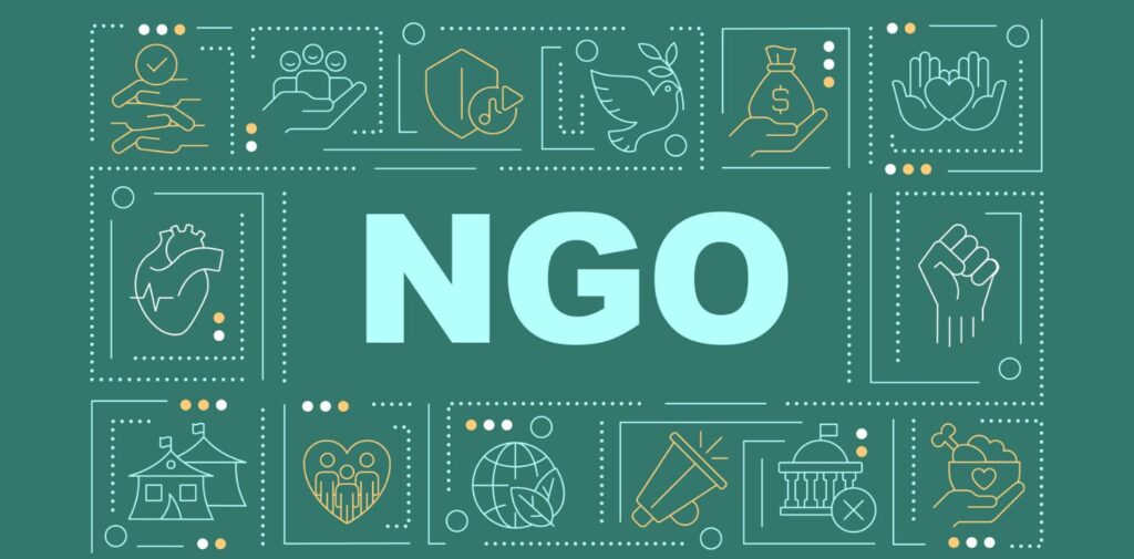 Role-of-Non-Governmental-Organizations-NGOs-in-Indias-Rural-Development-What-Are-NGOs