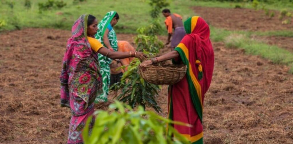 Role-of-Women-in-Rural-Economies-Challenges-and-Opportunities-Womens-Role-in-Rural-Economies