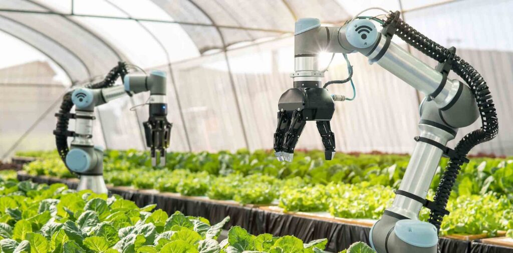 Future-of-Indian-Agriculture-From-Traditional-Farming-to-Technological-Innovations-Adoption-of-Technology-in-Farming