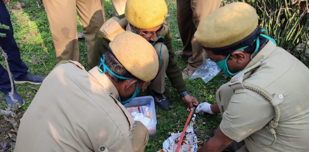 India-Efforts-in-Combating-Illegal-Wildlife-Trade-Government-Initiatives-to-Combat-Illegal-Wildlife-Trade