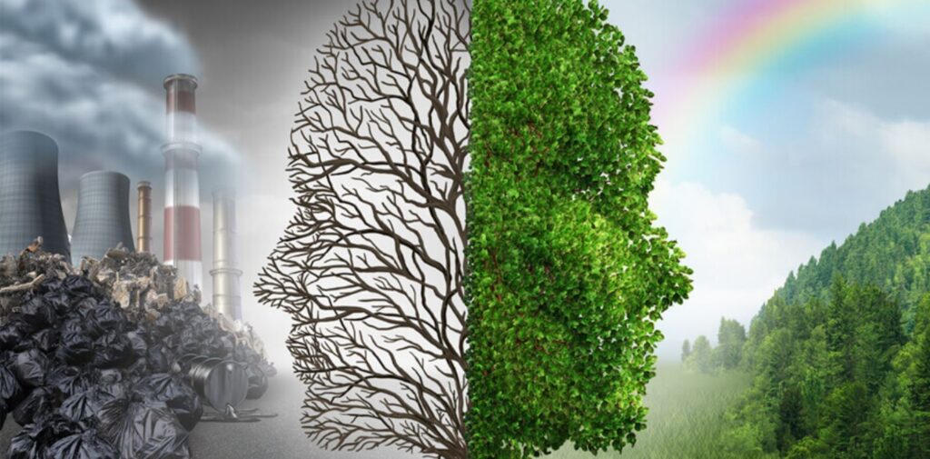 Rise-of-India-Regional-and-Local-Social-Movements-Environmental-Movements-and-Local-Concerns