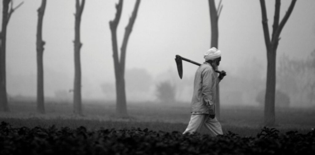 The-Political-Economy-of-India-Agrarian-Crisis-A-Deep-Dive-into-Challenges-and-Solutions-The-Roots-of-the-Agrarian-Crisis-in-India
