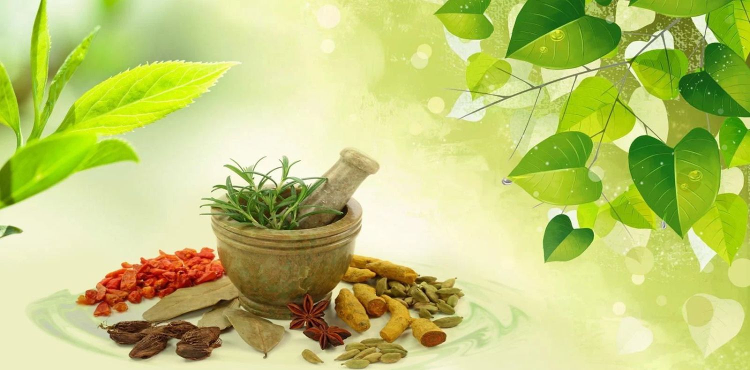 The Role of Indian Traditional Medicine in the Modern Health System ...