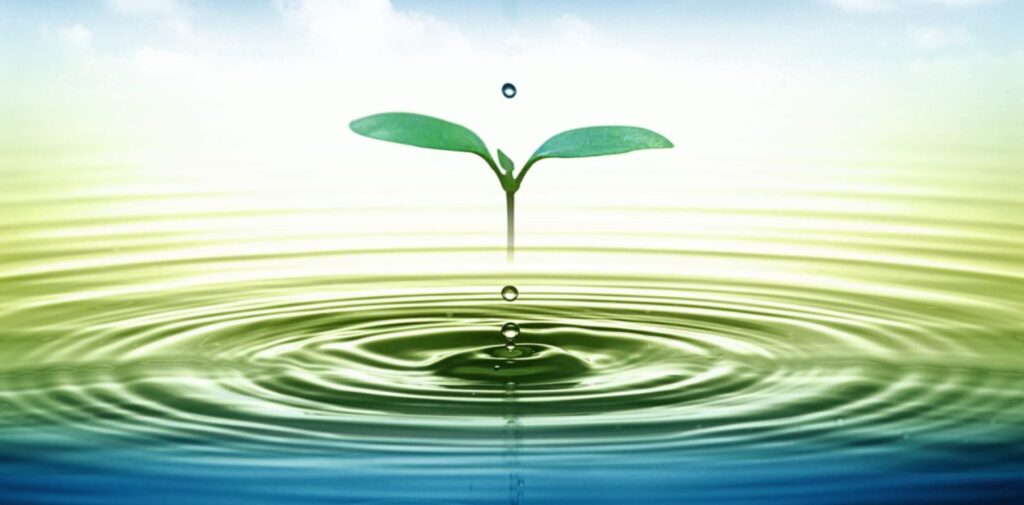 The-Role-of-Water-Conservation-in-India