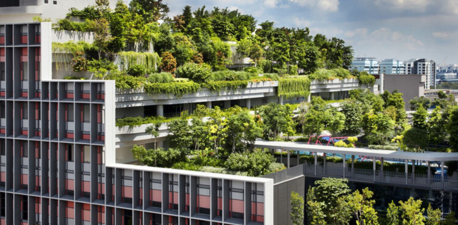 Green City India India Green Cities: Paving the Way for Sustainable Urban Development