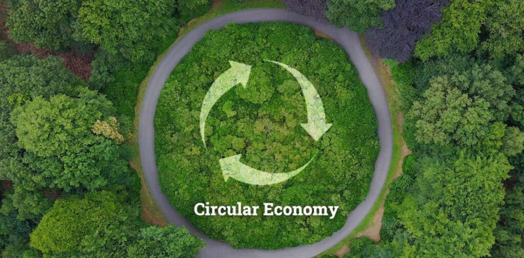 India-Shift-Towards-a-Circular-Economy-Sustainability-and-Innovation-Understanding-the-Circular-Economy-Concept