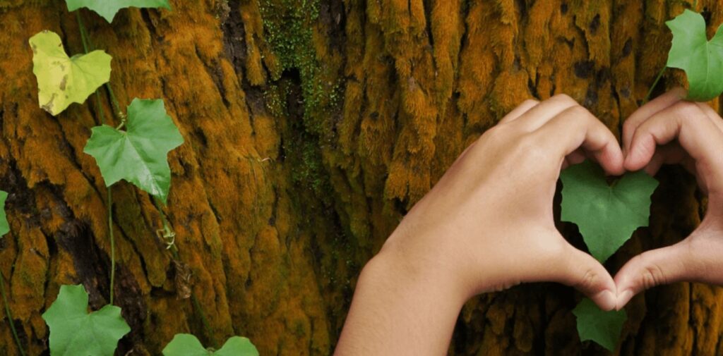 How-India-is-taking-steps-to-protect-biodiversity.jpg