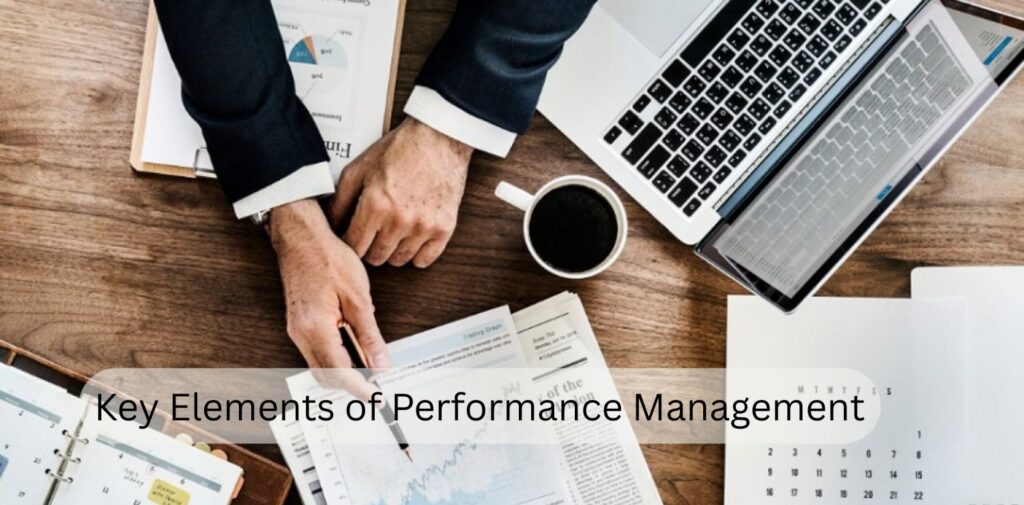 Good Performance Elements Performance Management: A Pathway to Success