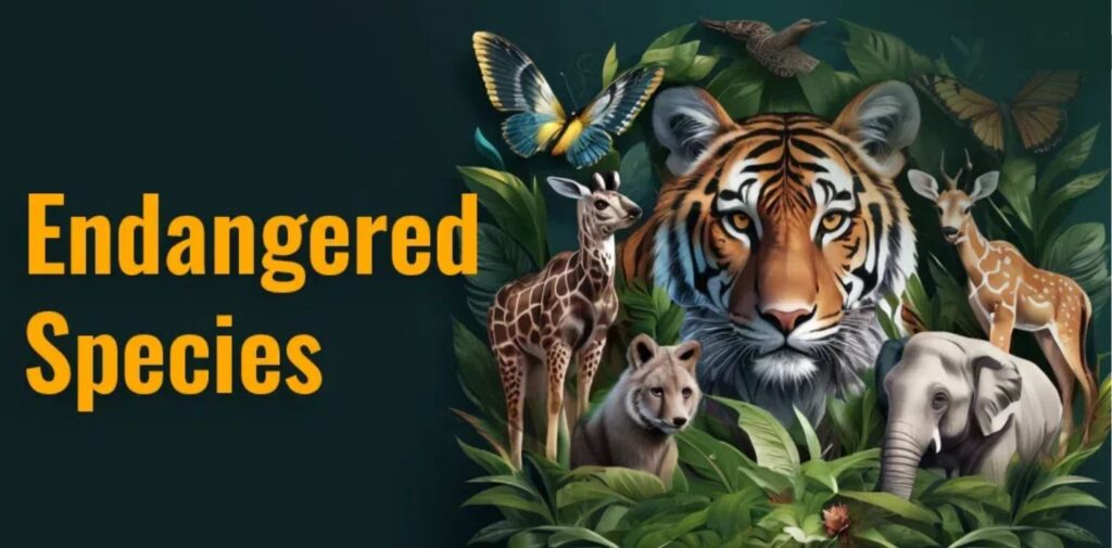 National-Endangered-Species-Day-A-Call-to-Protect-Indias-Precious-Wildlife-Understanding-endangered-species.jpg