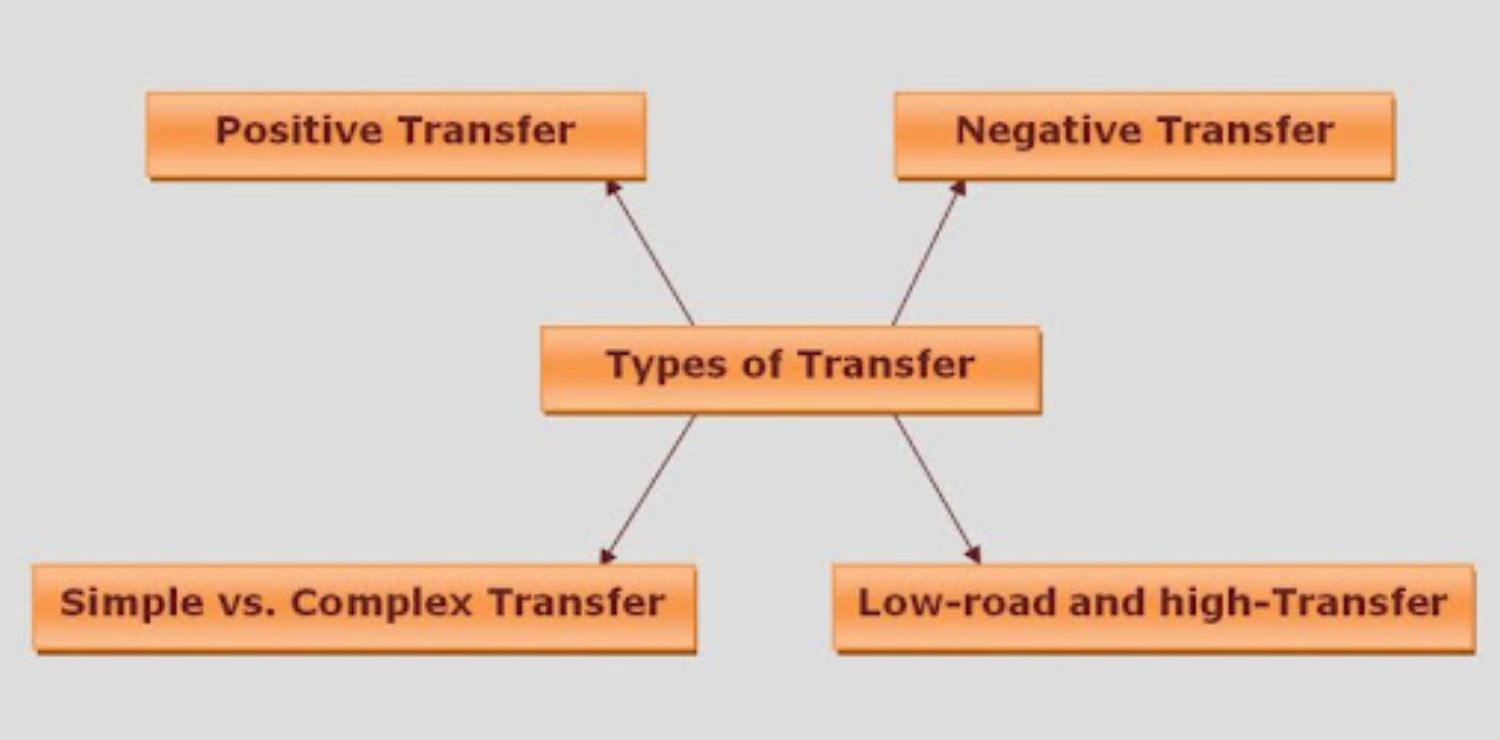 Understanding Transfer Learning in AI: A Simple Guide