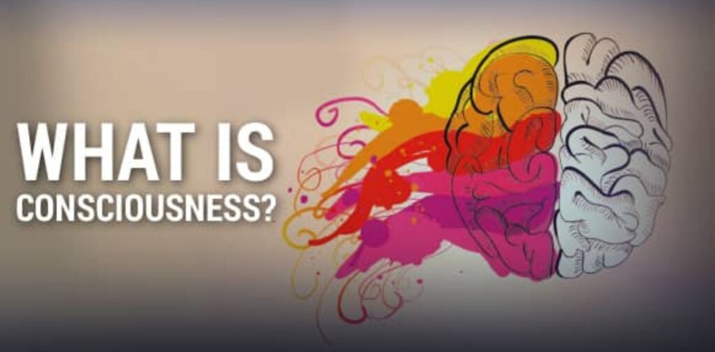 What-is-consciousness.