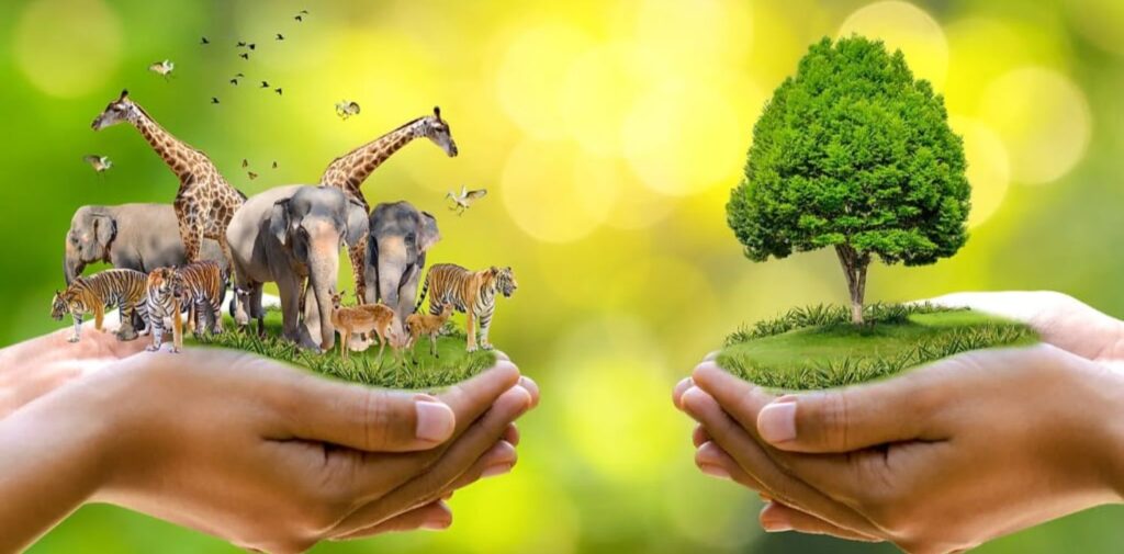 Why-is-it-important-to-save-endangered-species.jpg