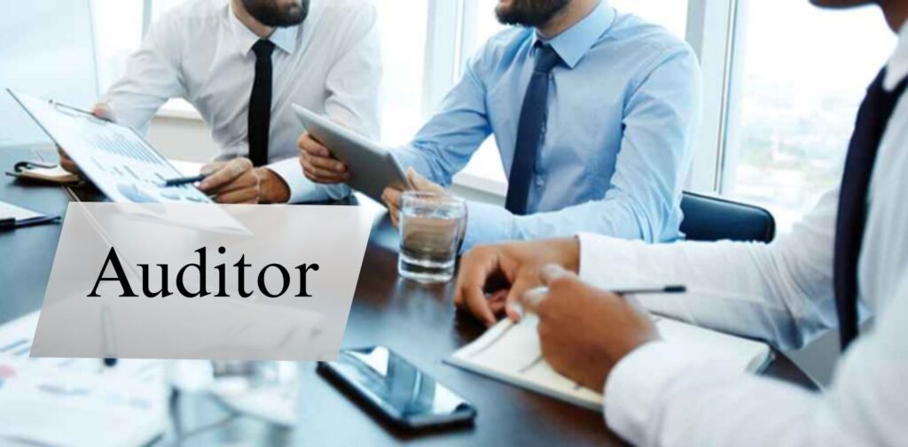 Who-is-an-Auditor.