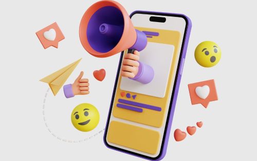 Social Media Marketing - Nishant Verma Digital Marketing Solution